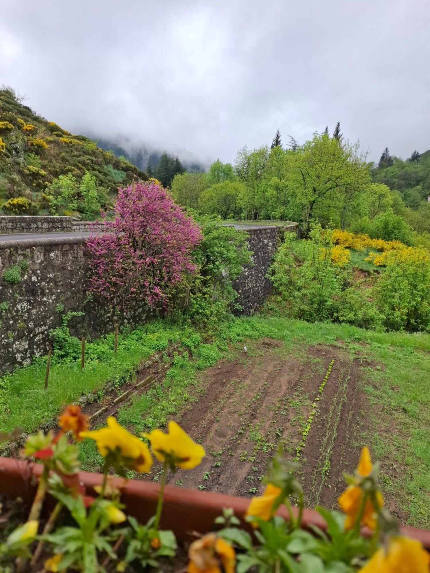 Auberge Arthea Laviolle Exteriör bild