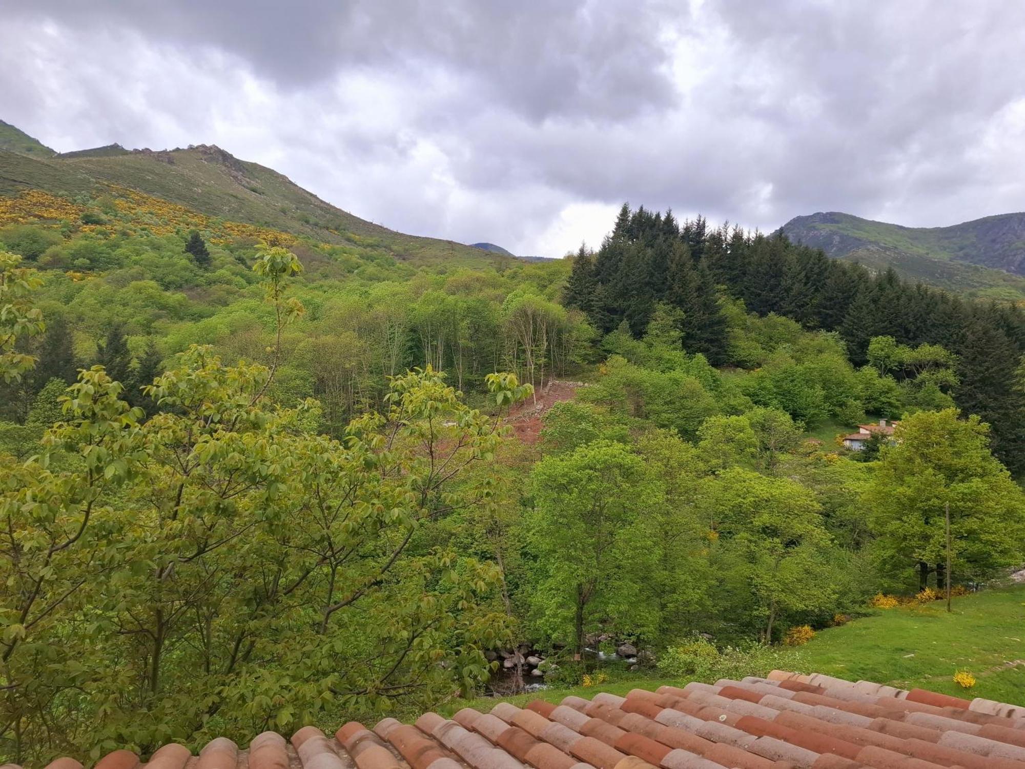 Auberge Arthea Laviolle Rum bild