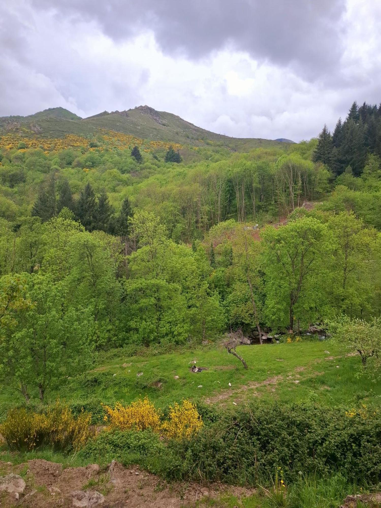 Auberge Arthea Laviolle Rum bild