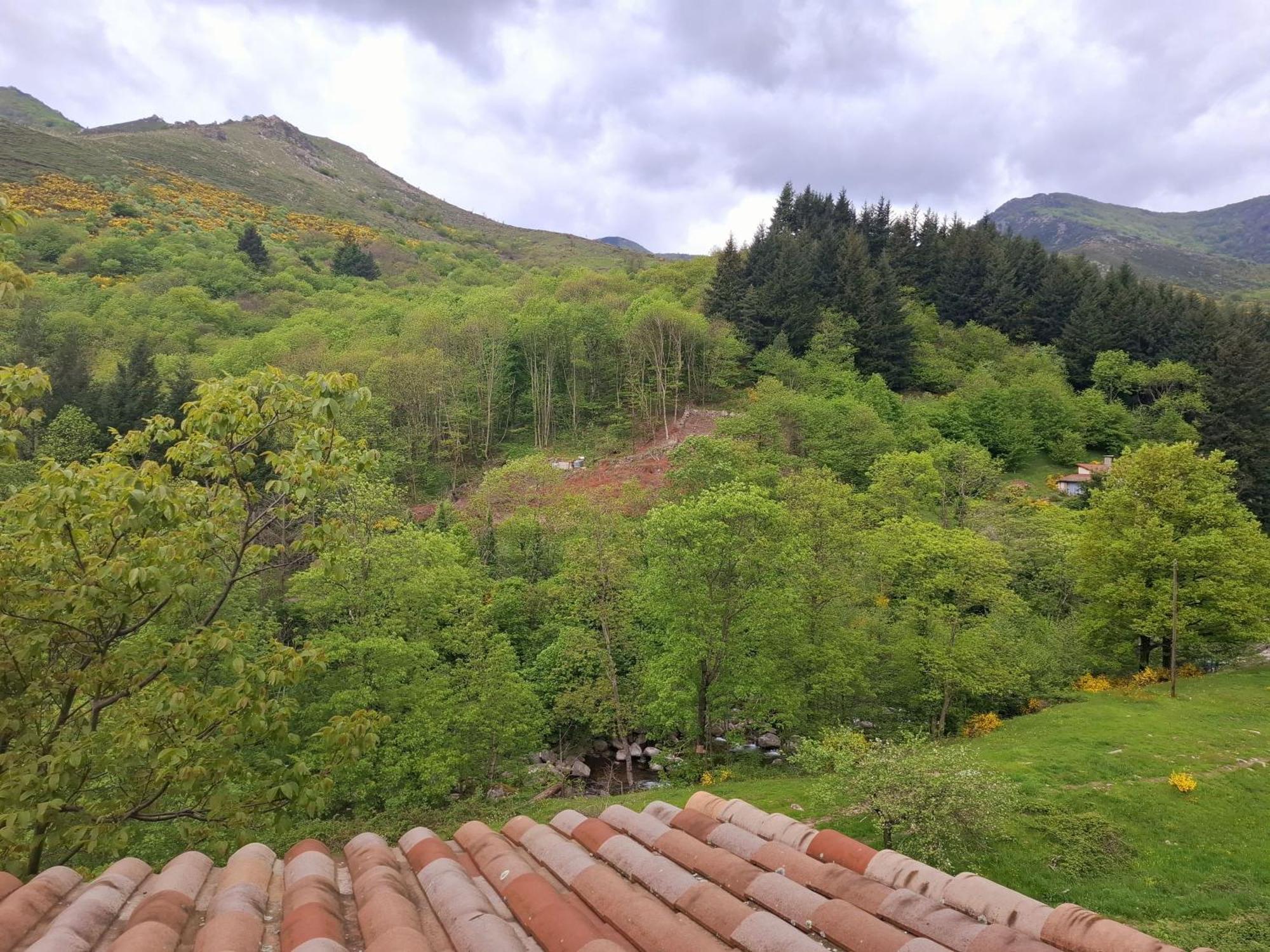 Auberge Arthea Laviolle Rum bild